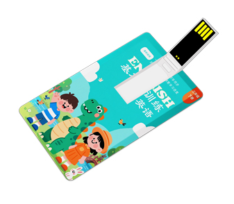 U盘防复制电子出版物卡片款