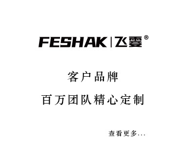 FESHAK 飞震